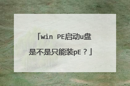 win PE启动u盘是不是只能装pE？