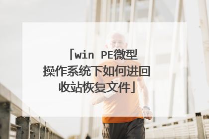 win PE微型操作系统下如何进回收站恢复文件