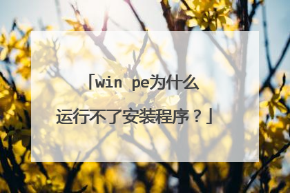 win pe为什么运行不了安装程序?