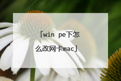 win pe下怎么改网卡mac
