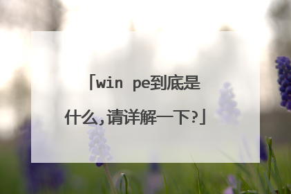 win pe到底是什么,请详解一下?