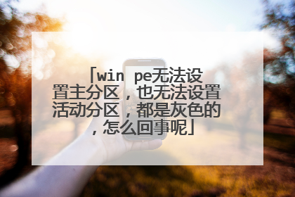 win pe无法设置主分区，也无法设置活动分区，都是灰色的，怎么回事呢