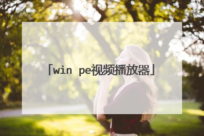 win pe视频播放器