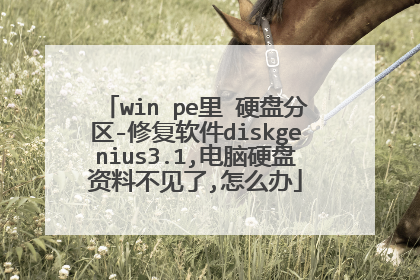 win pe里 硬盘分区-修复软件diskgenius3.1,电脑硬盘资料不见了,怎么办