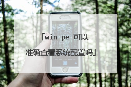 win pe 可以准确查看系统配置吗
