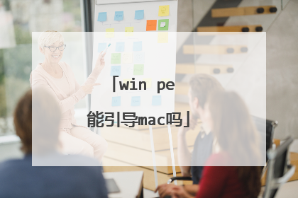 win pe 能引导mac吗