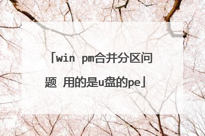 win pm合并分区问题 用的是u盘的pe