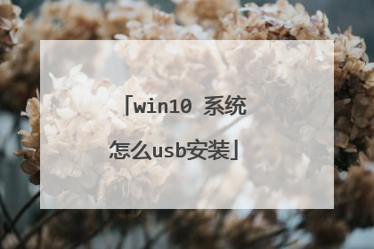 win10 系统怎么usb安装