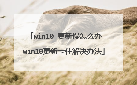 win10 更新慢怎么办 win10更新卡住解决办法