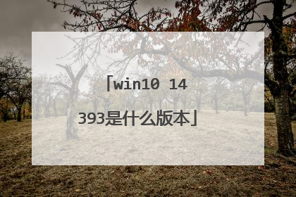 win10 14393是什么版本