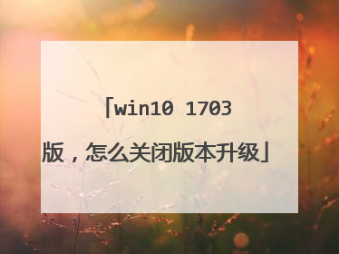 win10 1703版,怎么关闭版本升级