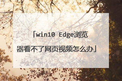 win10 Edge浏览器看不了网页视频怎么办