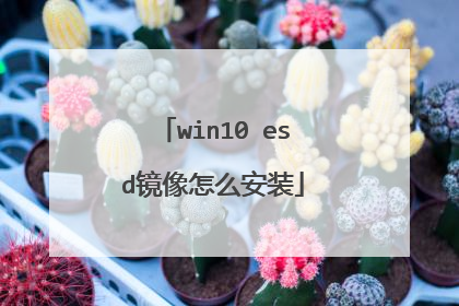 win10 esd镜像怎么安装