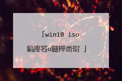 win10 iso鎬庝箞u鐩樺畨瑁�