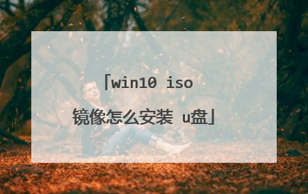 win10 iso 镜像怎么安装 u盘