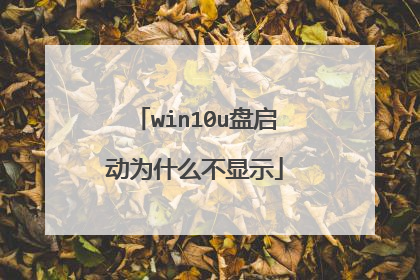 win10u盘启动为什么不显示