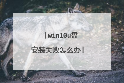 win10u盘安装失败怎么办