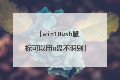 win10usb鼠标可以用u盘不识别