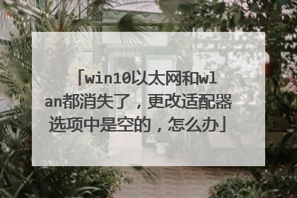 win10以太网和wlan都消失了,更改适配器选项中是空的,怎么办