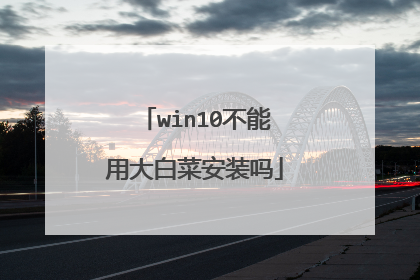 win10不能用大白菜安装吗