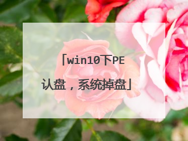 win10下PE认盘,系统掉盘