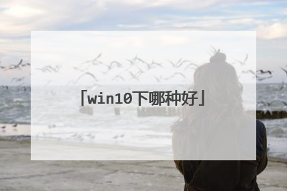 win10下哪种好