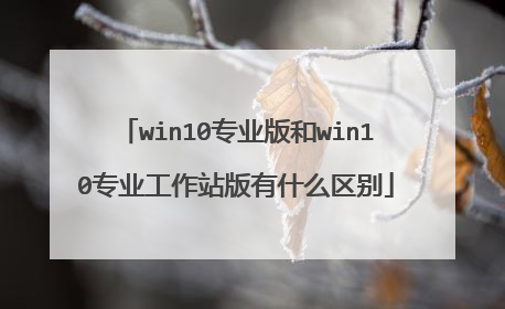win10专业版和win10专业工作站版有什么区别