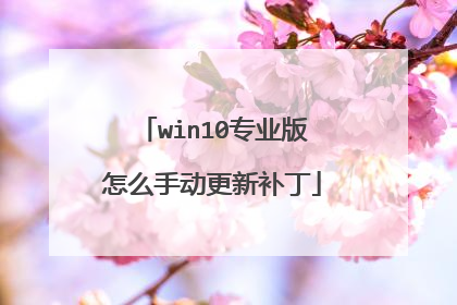 win10专业版怎么手动更新补丁