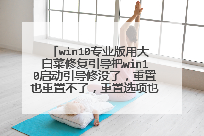win10专业版用大白菜修复引导把win10启动引导修没了,重置也重置不了,重置选项也不见了,电脑