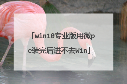 win10专业版用微pe装完后进不去Win