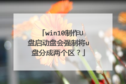 win10制作U盘启动盘会强制将u盘分成两个区？