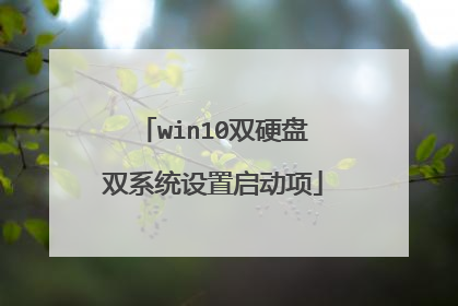 win10双硬盘双系统设置启动项