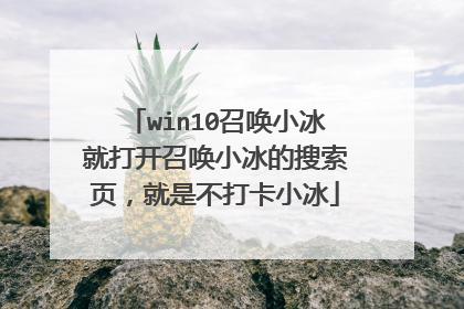 win10召唤小冰就打开召唤小冰的搜索页,就是不打卡小冰