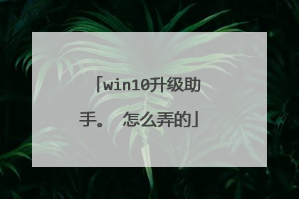 win10升级助手。 怎么弄的