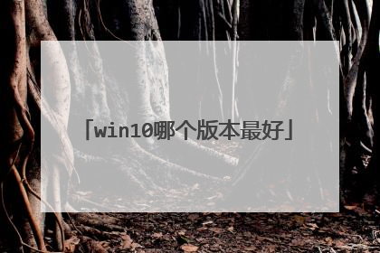 win10哪个版本最好
