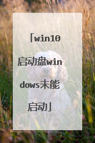 win10启动盘windows未能启动