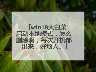 win10大白菜启动本地模式,怎么删除啊,每次开机都出来,好烦人。