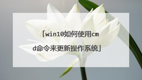 win10如何使用cmd命令来更新操作系统
