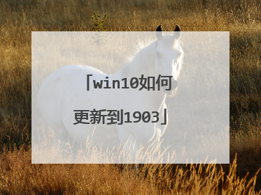 win10如何更新到1903