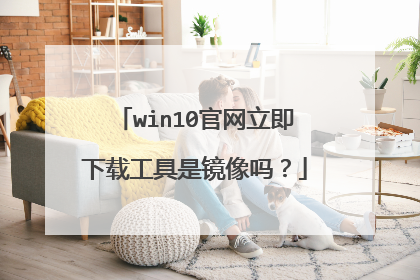 win10官网立即下载工具是镜像吗？