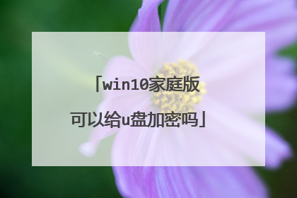 win10家庭版可以给u盘加密吗