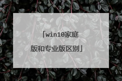 win10家庭版和专业版区别