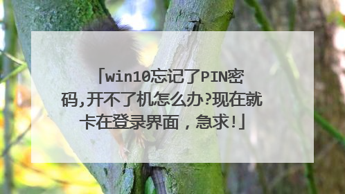 win10忘记了PIN密码,开不了机怎么办?现在就卡在登录界面,急求!