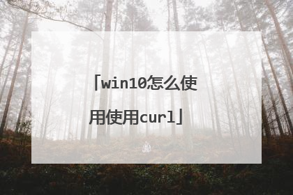 win10怎么使用使用curl