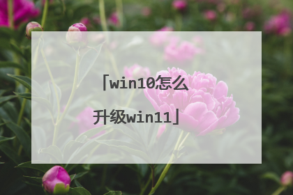 win10怎么升级win11