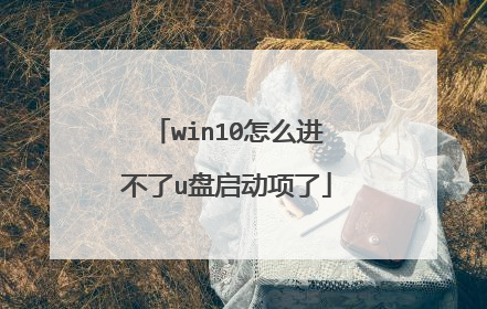 win10怎么进不了u盘启动项了