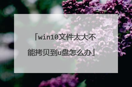win10文件太大不能拷贝到u盘怎么办