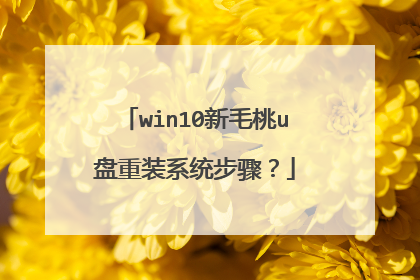 win10新毛桃u盘重装系统步骤?