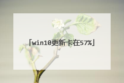 win10更新卡在57%