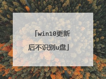 win10更新后不识别u盘